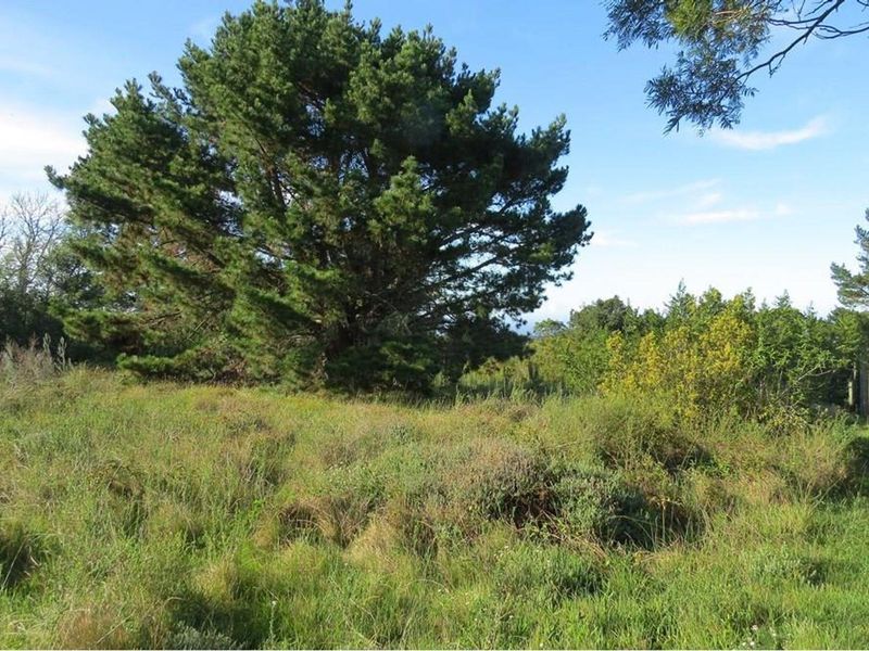 Vacant landFor Sale in Chelsea, Port Elizabeth - Photo 7