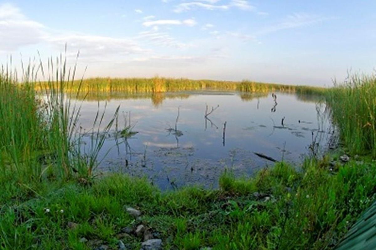 Farm/Small Holding for sale in Grootvaly, Springs - Photo 2