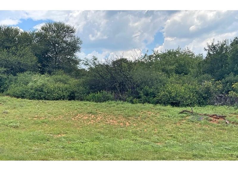 A view of a vacant residential plot featuring natural grassland and established native shrubbery and trees.