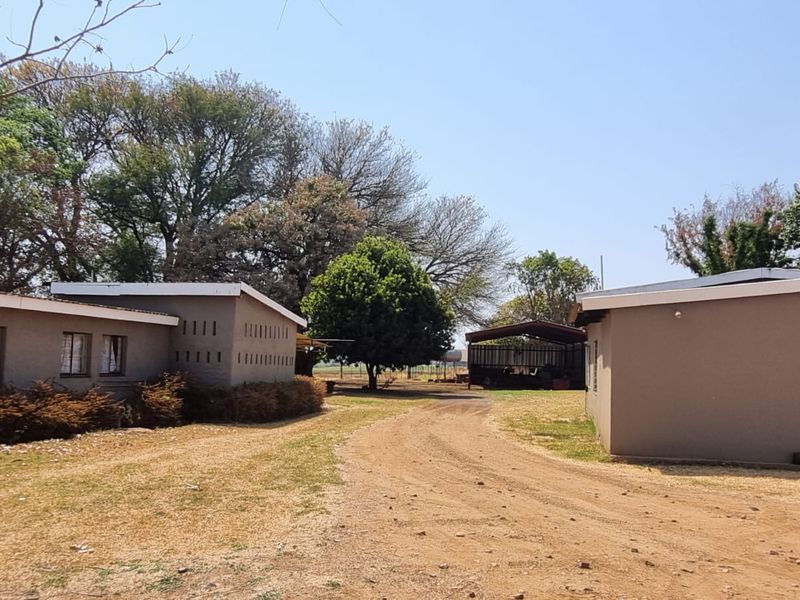 60ha Irrigation and Planting Farm with Ample Infrastructure - Groblersdal Rural, Groblersdal - Photo 2