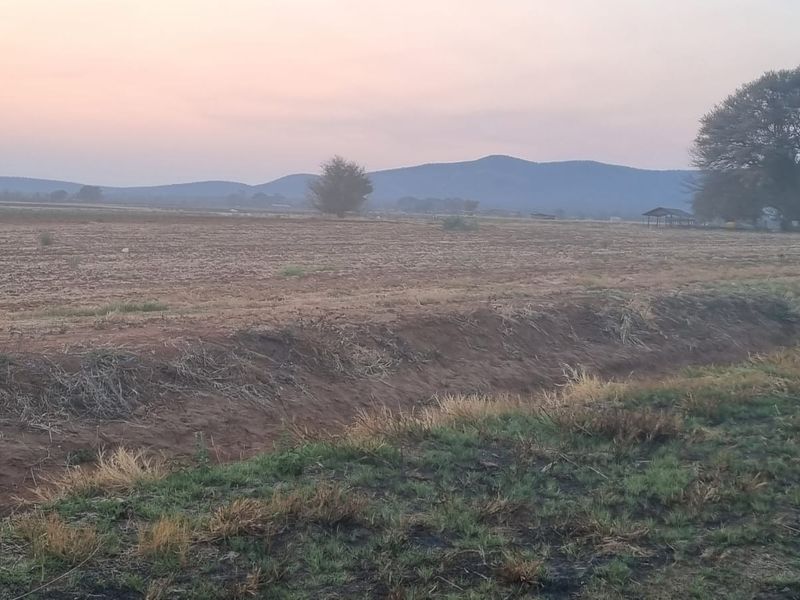 60ha Irrigation and Planting Farm with Ample Infrastructure - Groblersdal Rural, Groblersdal - Photo 9