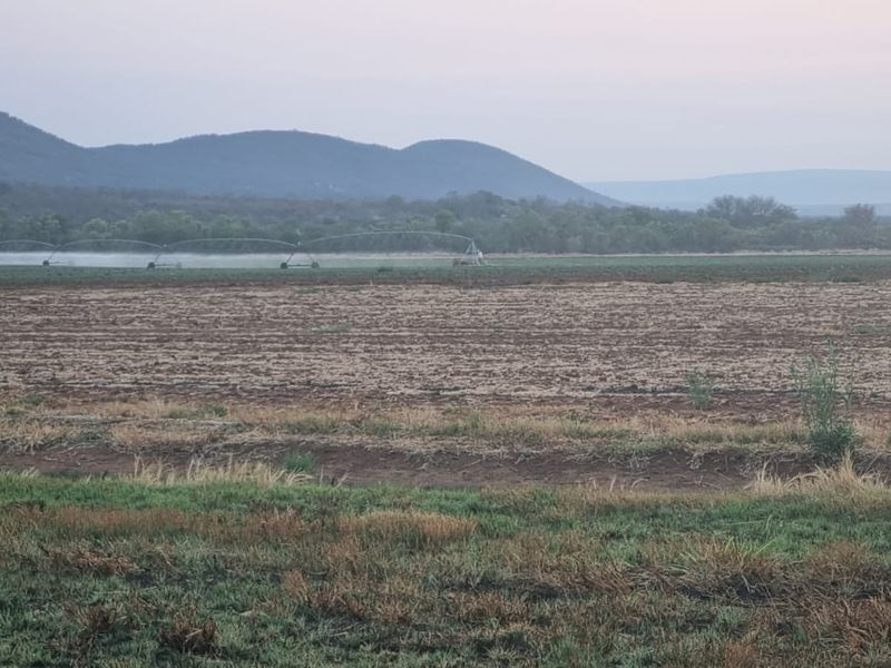60ha Irrigation and Planting Farm with Ample Infrastructure - Groblersdal Rural, Groblersdal - Photo 8
