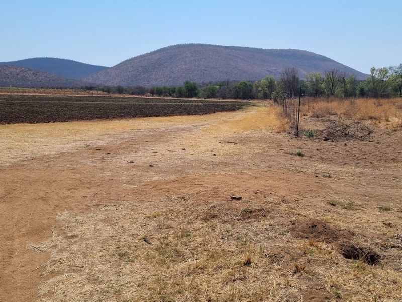 60ha Irrigation and Planting Farm with Ample Infrastructure - Groblersdal Rural, Groblersdal - Photo 7