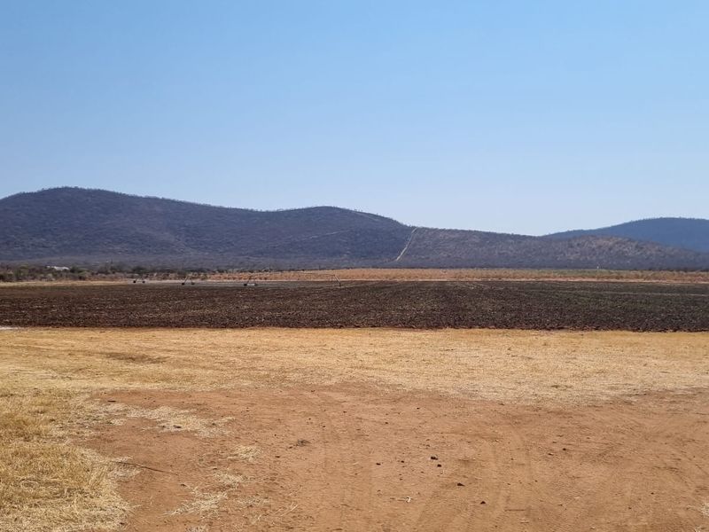 60ha Irrigation and Planting Farm with Ample Infrastructure - Groblersdal Rural, Groblersdal - Photo 6