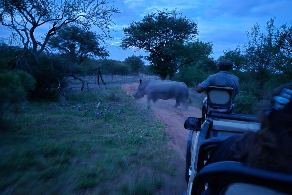 Plot For Sale in Moditlo Nature Reserve, Hoedspruit - Photo 2