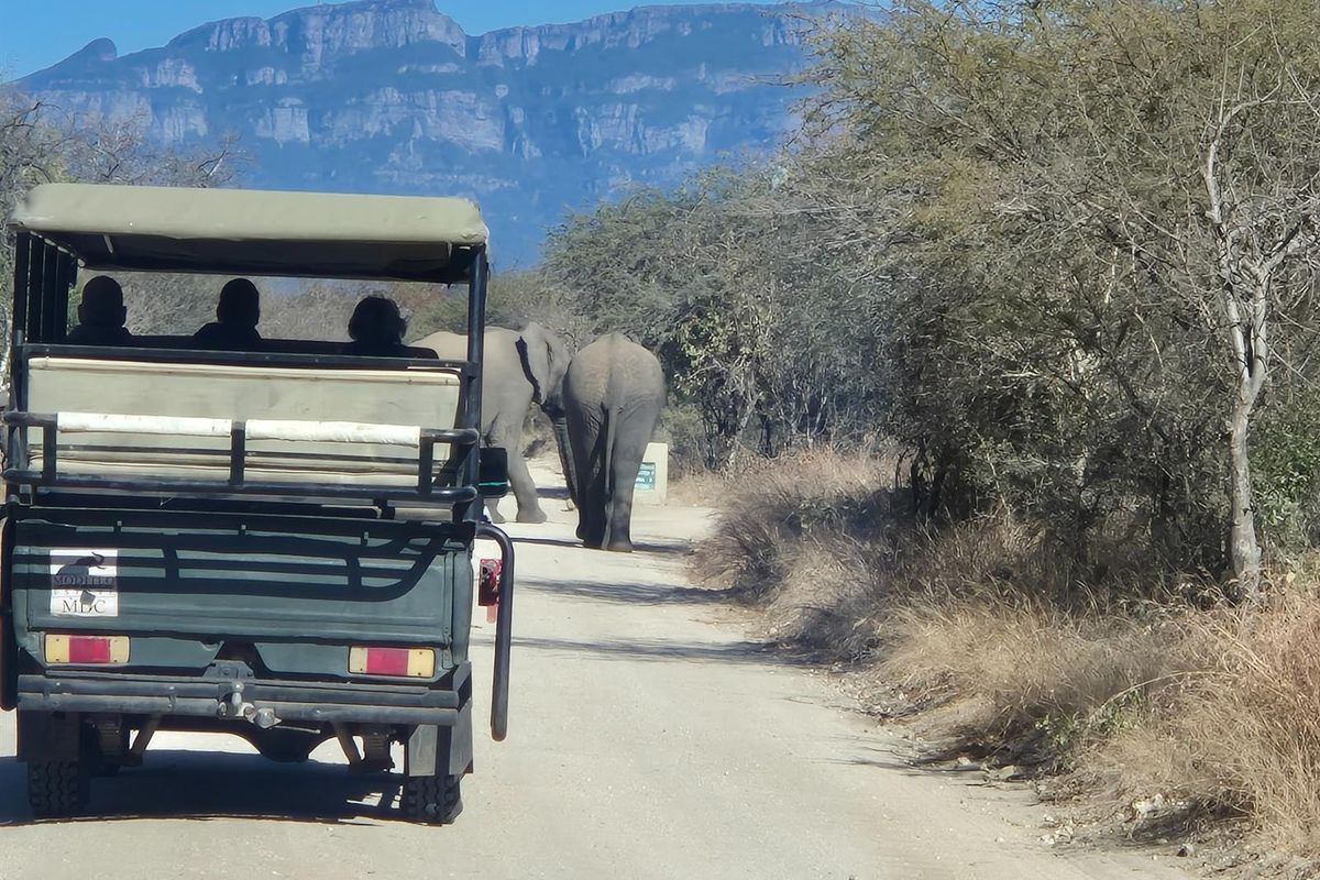 Plot For Sale in Moditlo Nature Reserve, Hoedspruit - Photo 3