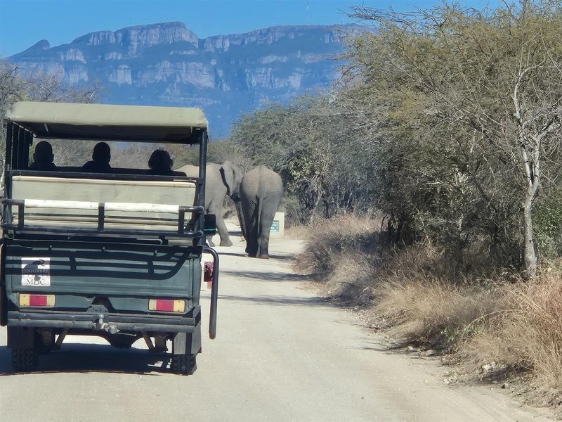 Plot For Sale in Moditlo Nature Reserve, Hoedspruit - Photo 3