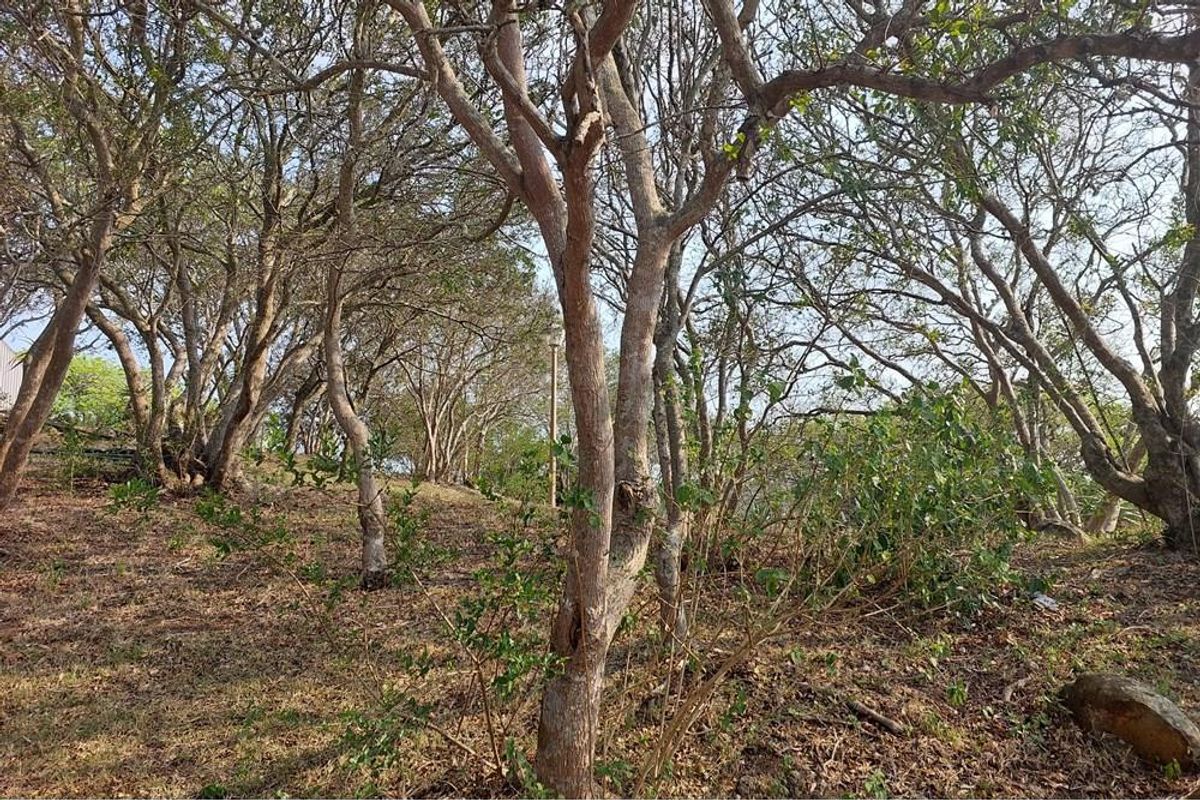 Farm for sale in Nseleni, Empangeni, KwaZulu Natal - Photo 3