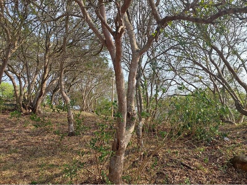 Farm for sale in Nseleni, Empangeni, KwaZulu Natal - Photo 3