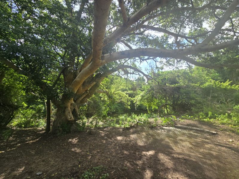 Farm for sale in Nseleni, Empangeni, KwaZulu Natal - Photo 2
