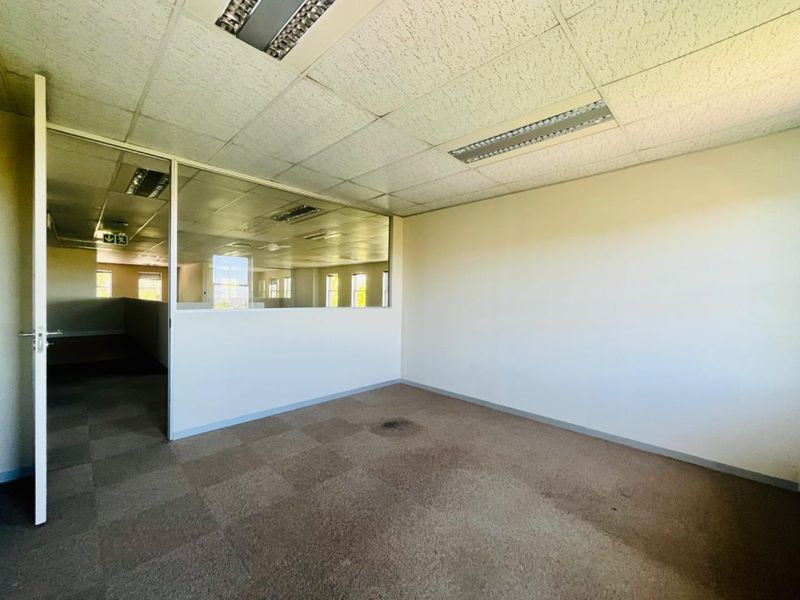 An empty commercial office space featuring a glass partition wall, suspended ceiling with recessed lighting, and carpeted flooring.