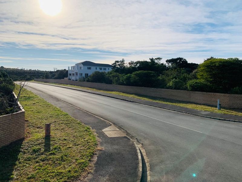 A street-level view of the residential property, showing the paved road, curb, and surrounding boundary wall with established vegetation.