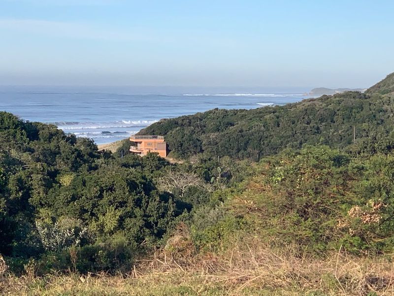 A scenic elevated view overlooking lush coastal vegetation and the ocean, showcasing the natural landscape and surrounding environment.