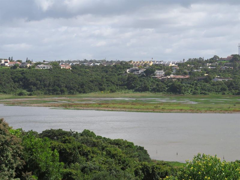 A scenic elevated view overlooking a tranquil river estuary and lush natural vegetation with residential properties visible in the distance.