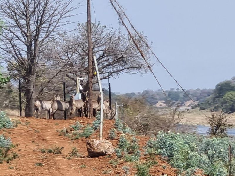 Vacant Land for sale in Malelane - Photo 2