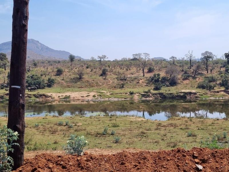A scenic view of a river and natural landscape from the vacant residential property, featuring native vegetation and distant hills.
