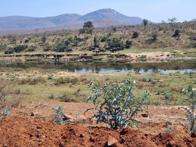 A scenic view of a river and natural landscape from the vacant residential plot, featuring native vegetation and distant mountain vistas.