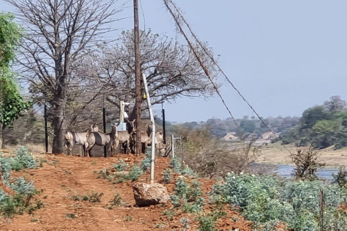 A view of the vacant residential land featuring natural terrain, perimeter fencing, and a utility pole overlooking a nearby riverbed.