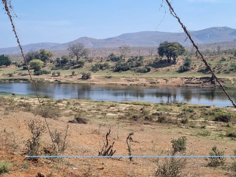 A scenic view of a river landscape with natural vegetation and distant mountains, showcasing the natural surroundings of the vacant land.