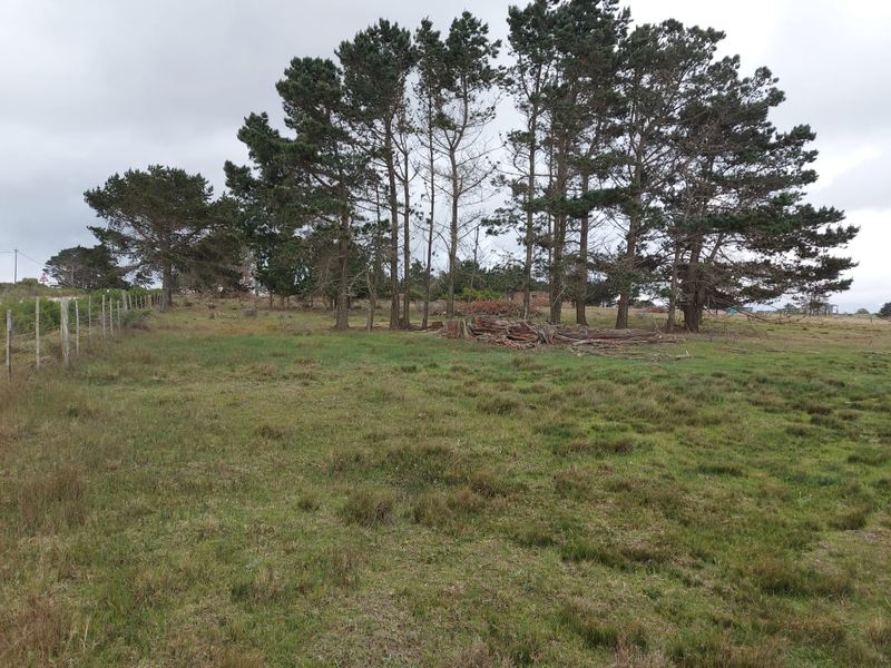 Farm for sale in George - Photo 7