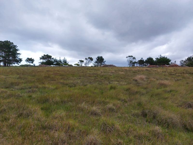 Farm for sale in George - Photo 6