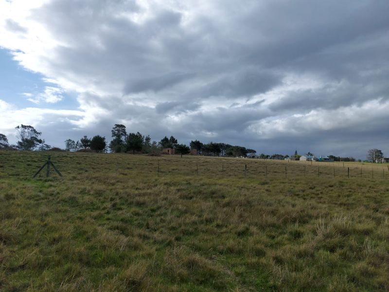 Farm for sale in George - Photo 8