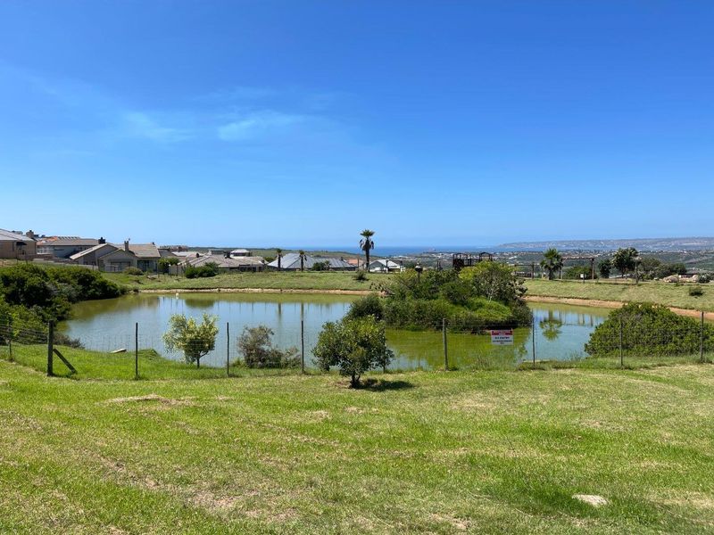 A scenic view of a residential pond and landscaped grounds with distant coastal views in a quiet neighborhood setting.