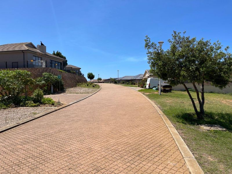 A view of a paved residential street within a well-maintained estate, featuring established landscaping and retaining walls.