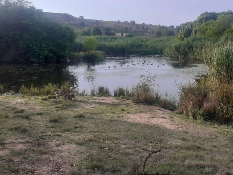 EXCELLLENT INVESTMENT IN A RAPIDLY GROWING AREA IN LANSERIA - Photo 6