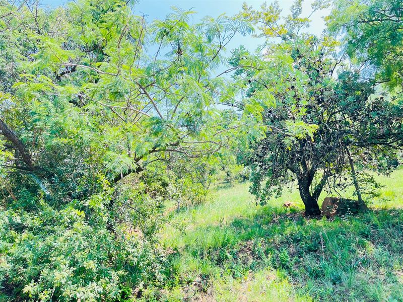 Vacant Land For Sale in Kosmos Ridge, Hartbeespoort, North West - Photo 9