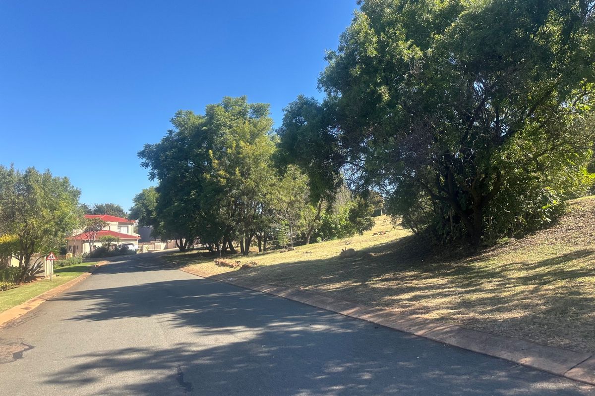 A view of the street frontage showing the asphalt road, concrete curbing, and established trees on the sloped residential land.