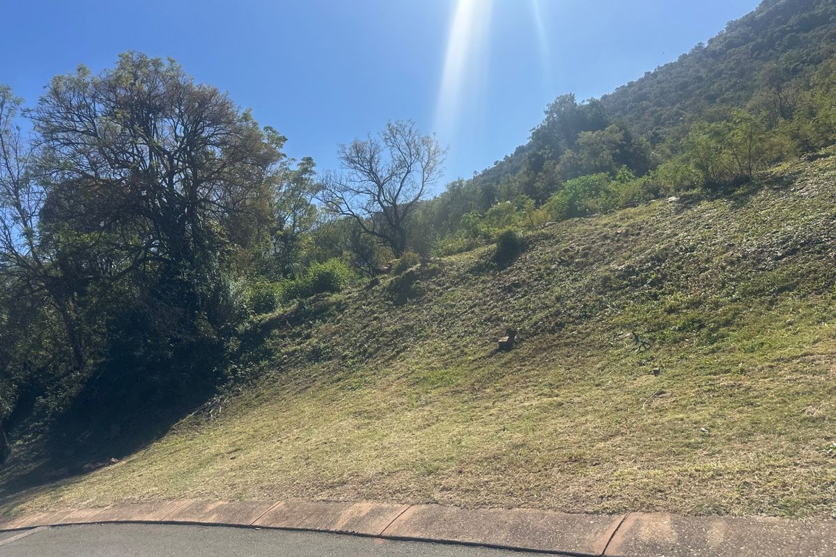 A view of a sloped residential vacant land plot from the adjacent asphalt street.