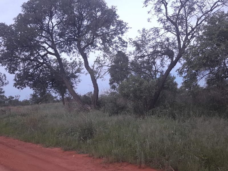 Plot for sale in Pretoria North, Pretoria - Photo 3