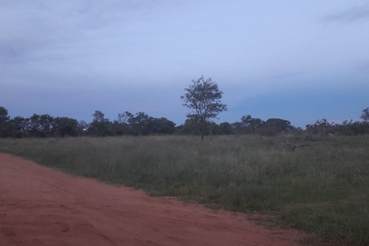 Plot for sale in Pretoria North, Pretoria - Photo 4