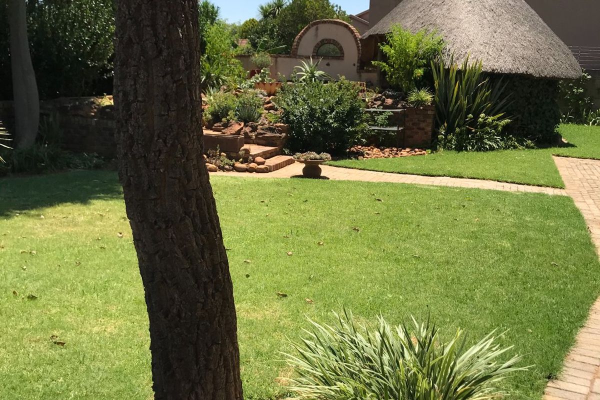 A well-maintained rear garden featuring a manicured lawn, brick pathways, and a traditional thatched-roof structure.