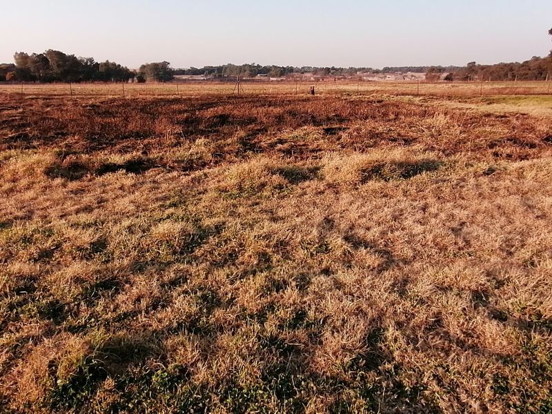 Expansive open farm land featuring dry grass and scorched earth, enclosed by perimeter fencing with mature trees in the distance.