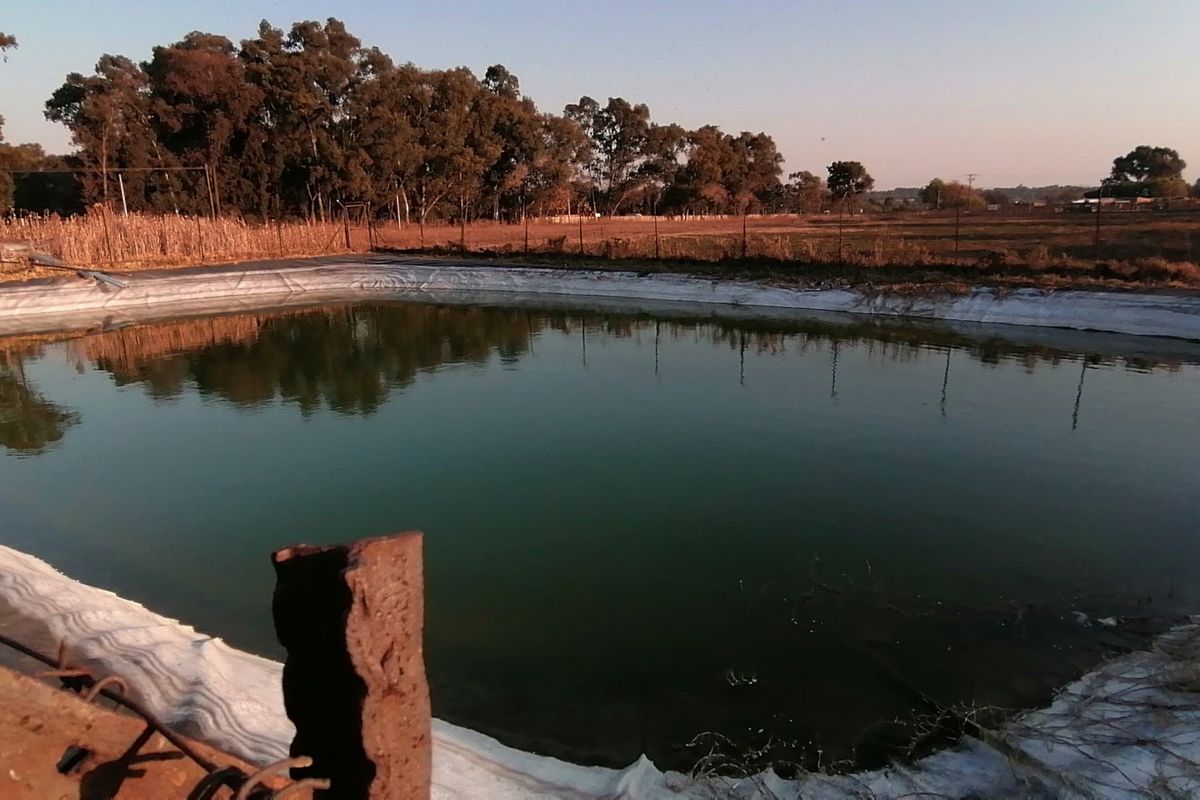 A large farm dam featuring a synthetic liner, situated in an open field setting with surrounding trees.