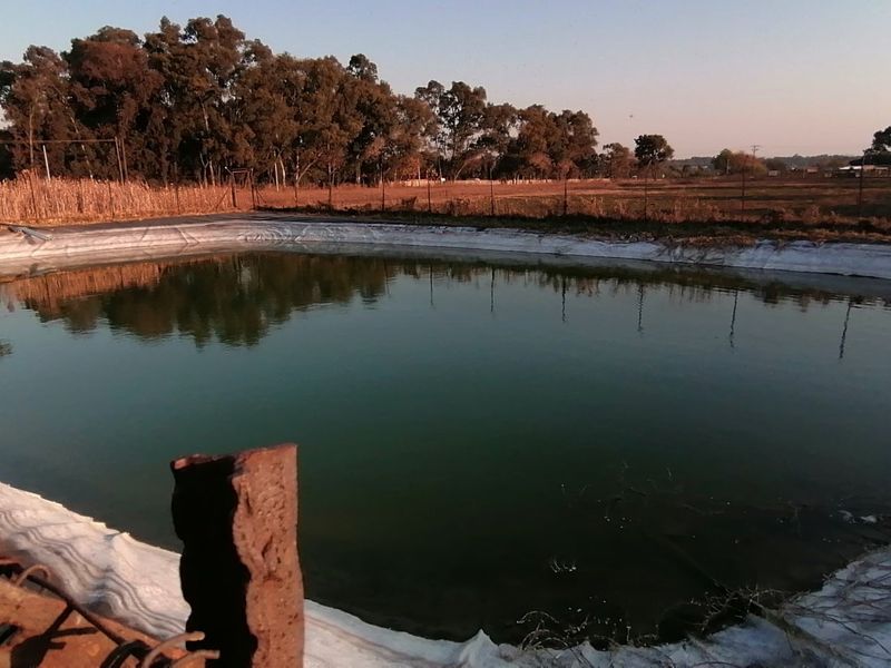 A large farm dam featuring a synthetic liner, situated in an open field setting with surrounding trees.