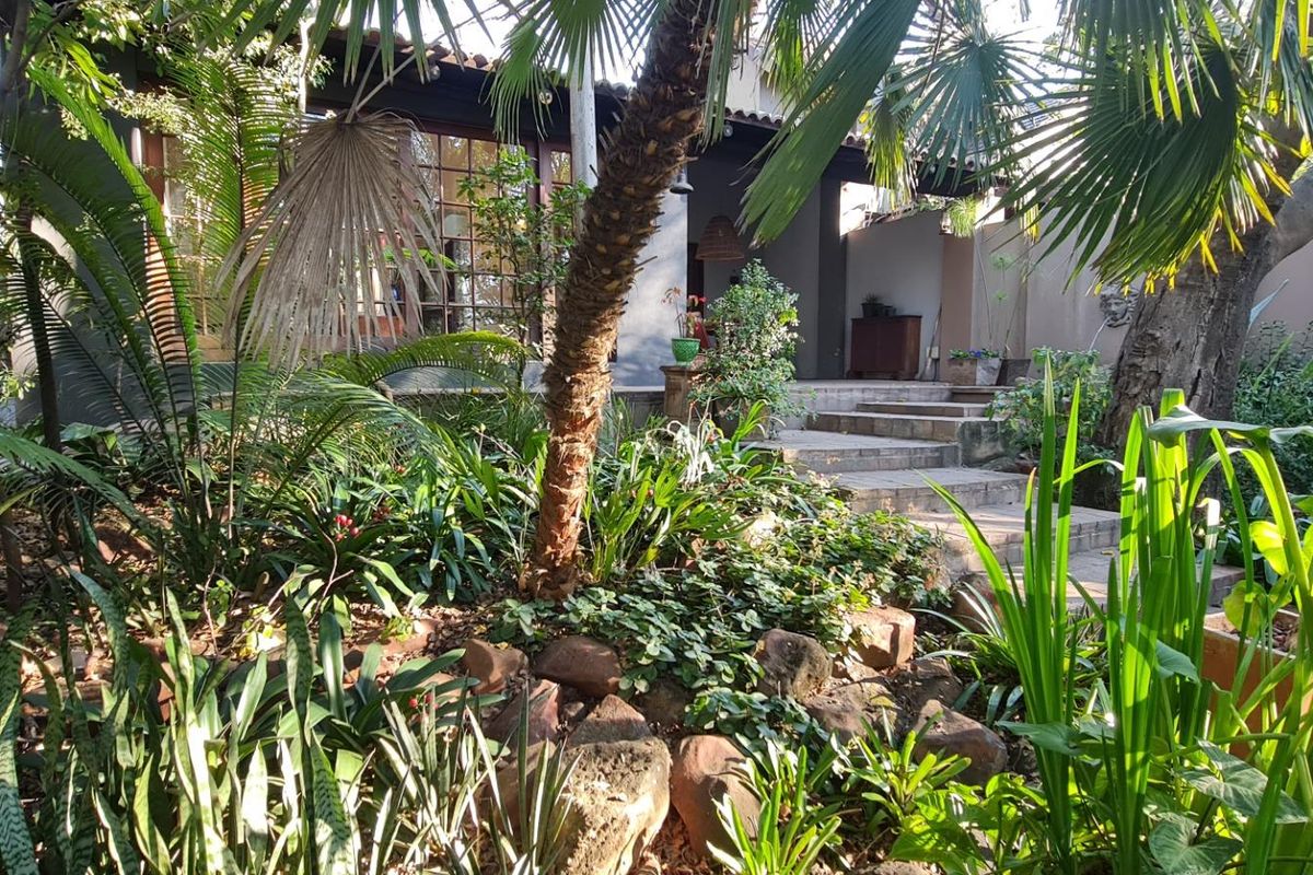 A lush, landscaped rear garden featuring stone steps leading up to a covered patio area with timber-framed glass doors.