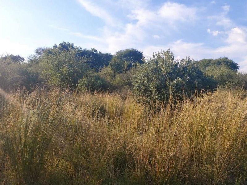 Vacant Land For Sale in Seasons Lifestyle Estate, Hartbeespoort, North West - Photo 7