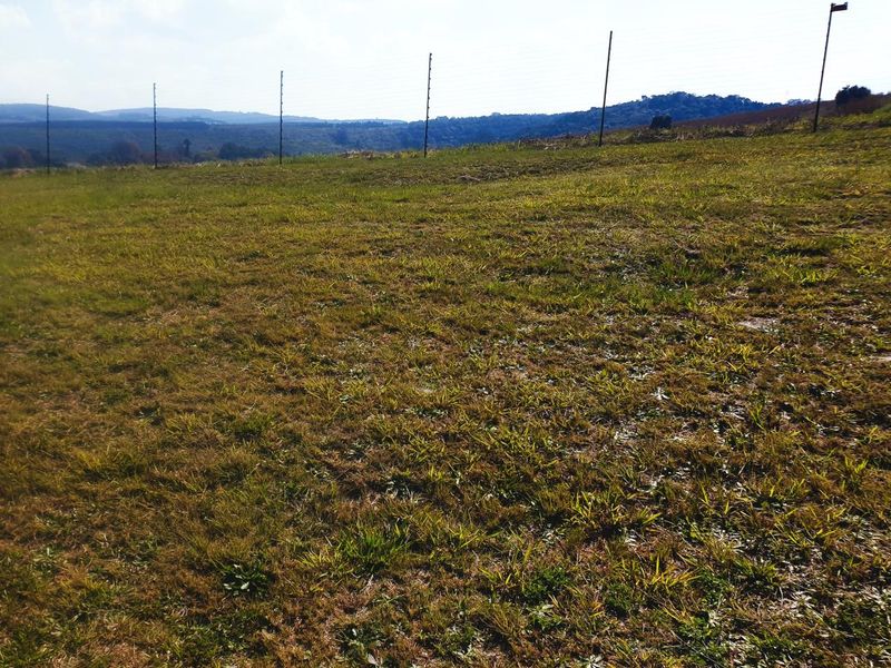 Prime Vacant Stand in Sought-After Clear Waters Cove - Photo 10