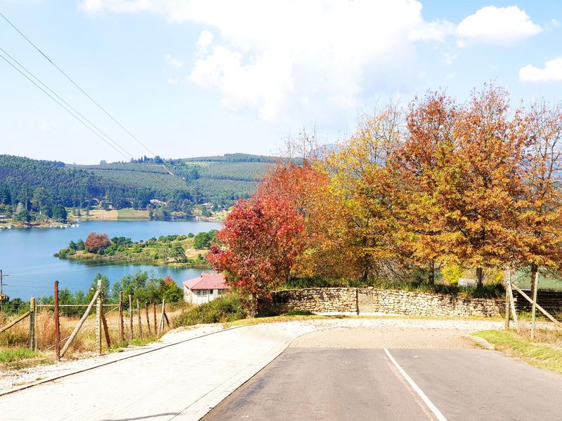 Prime Vacant Stand in Sought-After Clear Waters Cove - Photo 6