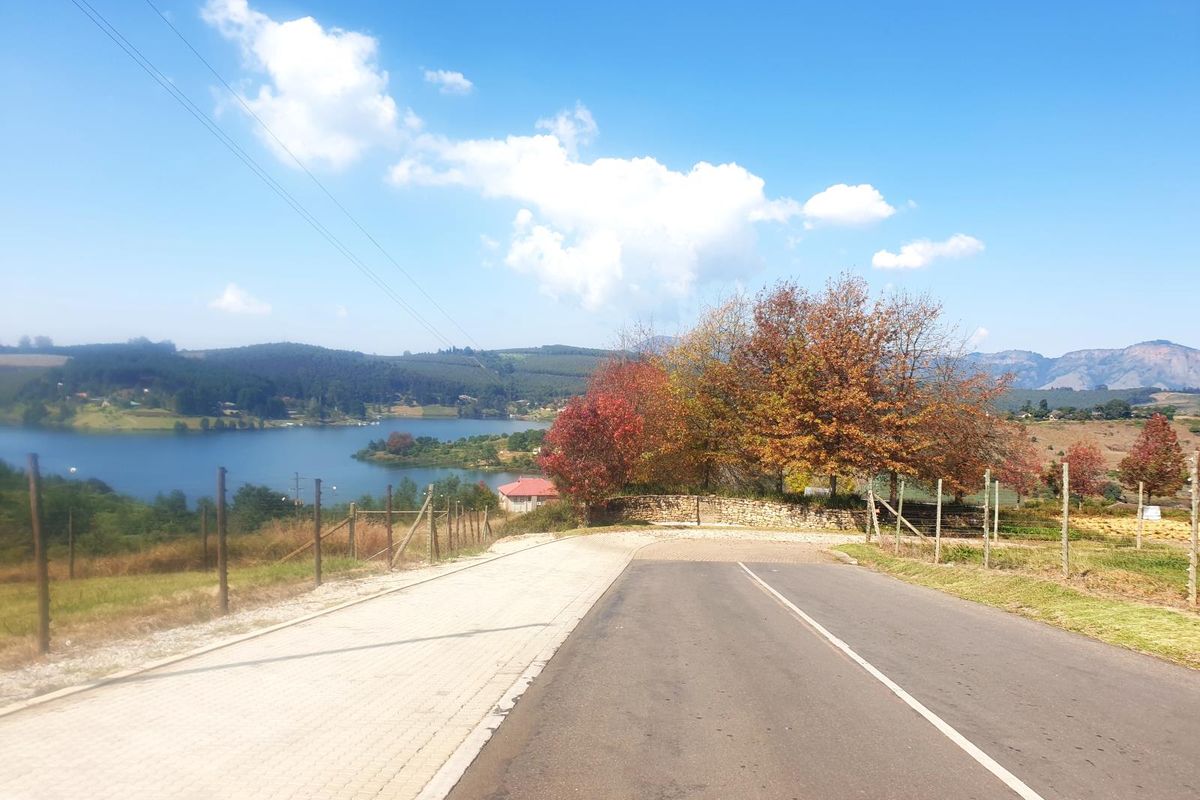 Prime Vacant Stand in Sought-After Clear Waters Cove - Photo 5