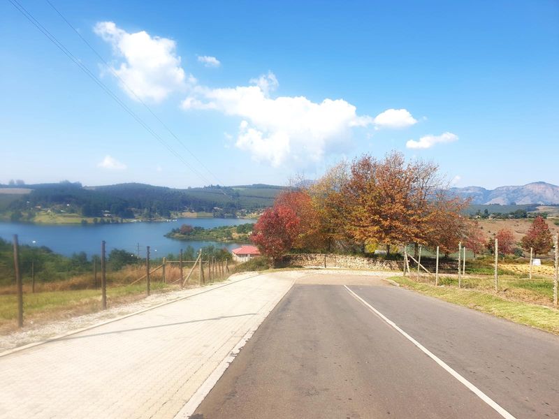 Prime Vacant Stand in Sought-After Clear Waters Cove - Photo 5