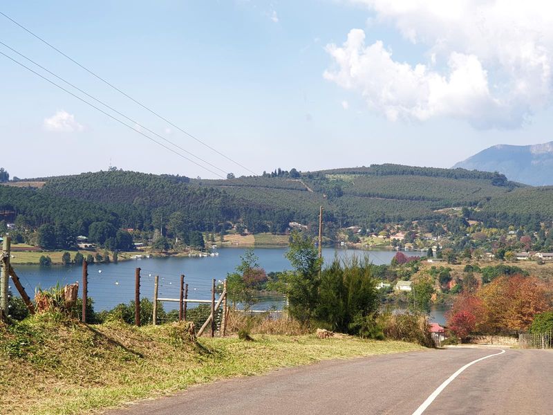 Prime Vacant Stand in Sought-After Clear Waters Cove - Photo 4