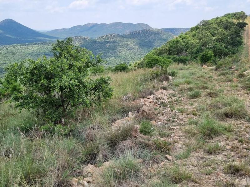 Farm For Sale in PARYS - Photo 9