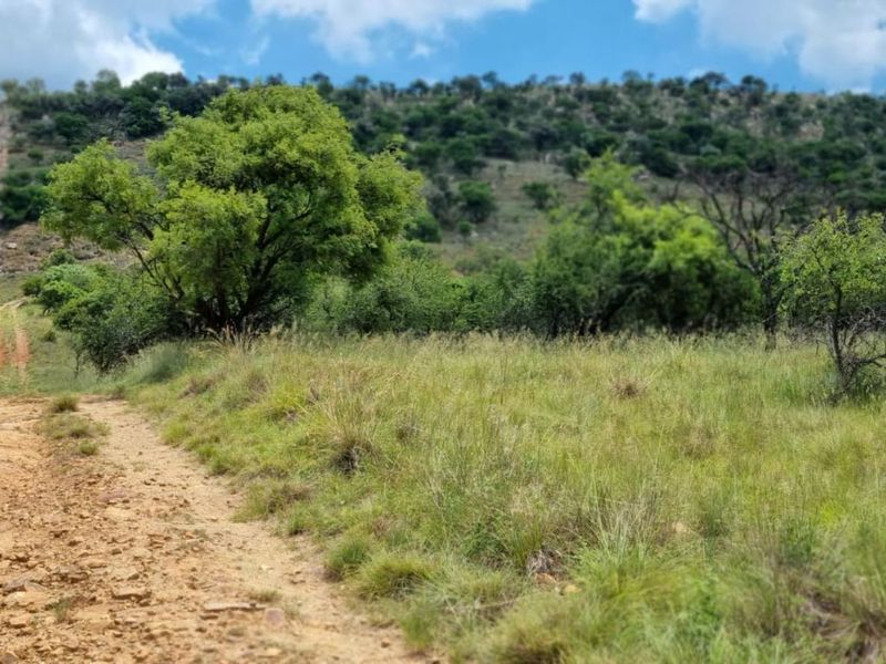 Farm For Sale in PARYS - Photo 8