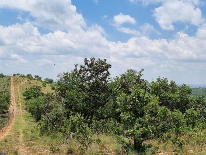 Farm For Sale in PARYS - Photo 7