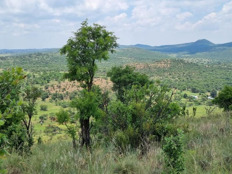 Farm For Sale in PARYS - Photo 6