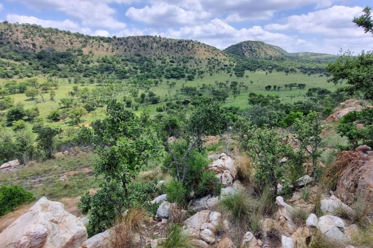 Farm For Sale in PARYS - Photo 3